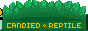 candied reptile
